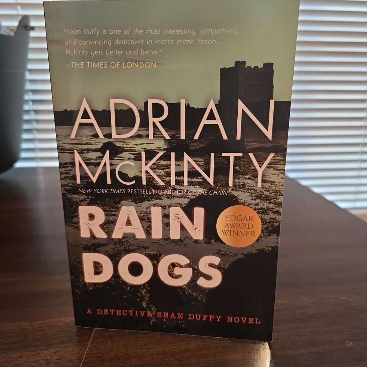 Rain Dogs by Adrian Mckinty