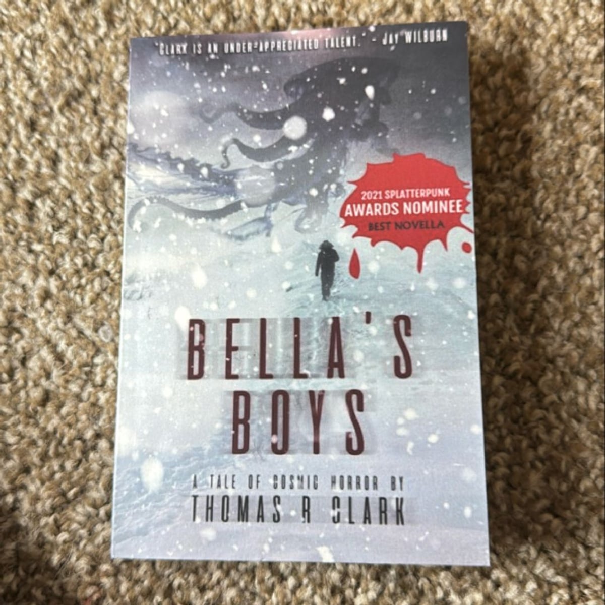 Bella's Boys by Thomas Clark