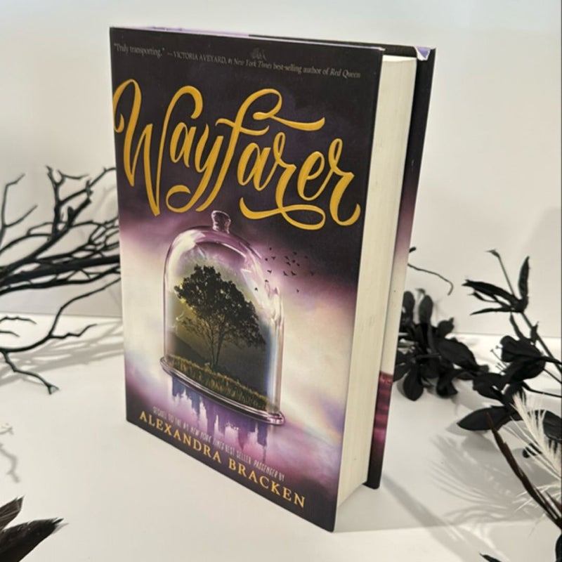 Wayfarer (a Passenger Novel, Book 2)