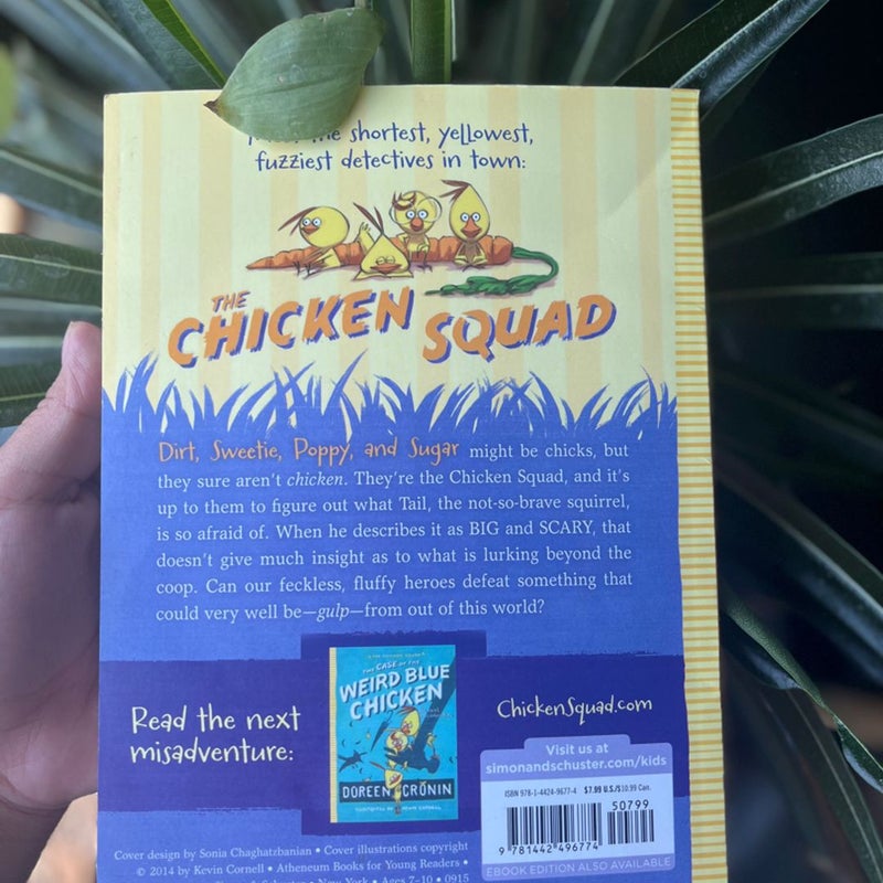 The Chicken Squad