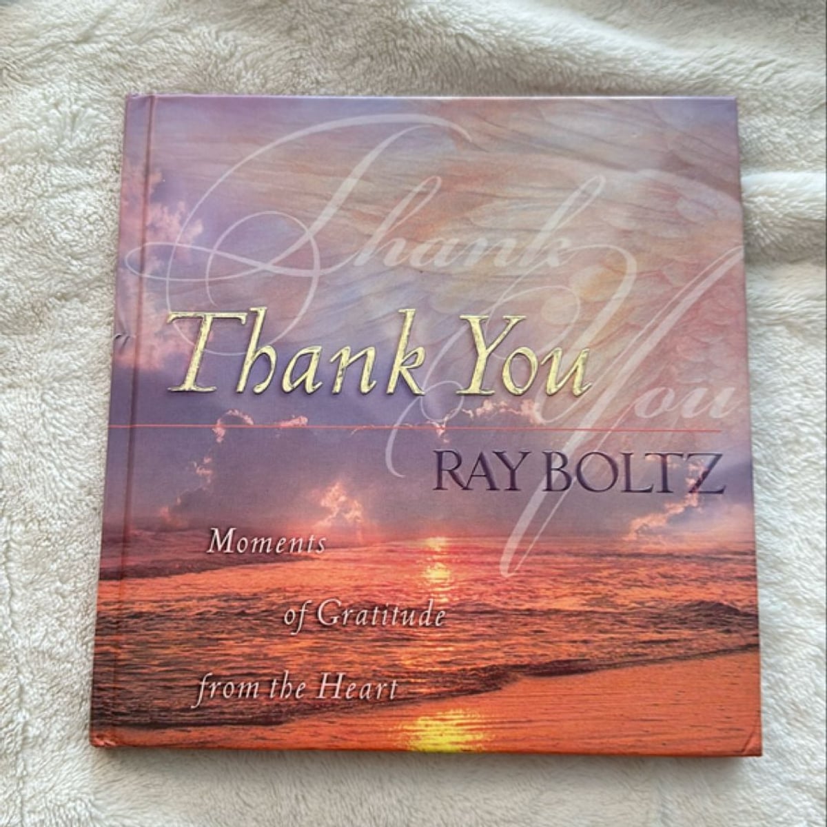 Thank You by Ray Boltz