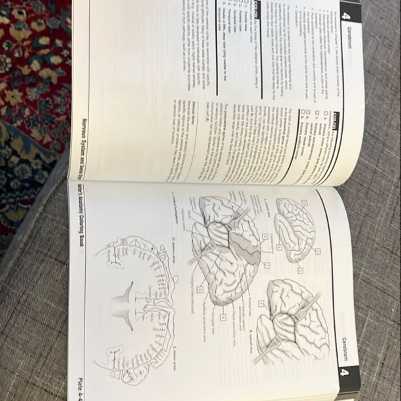 Netter's Anatomy Coloring Book