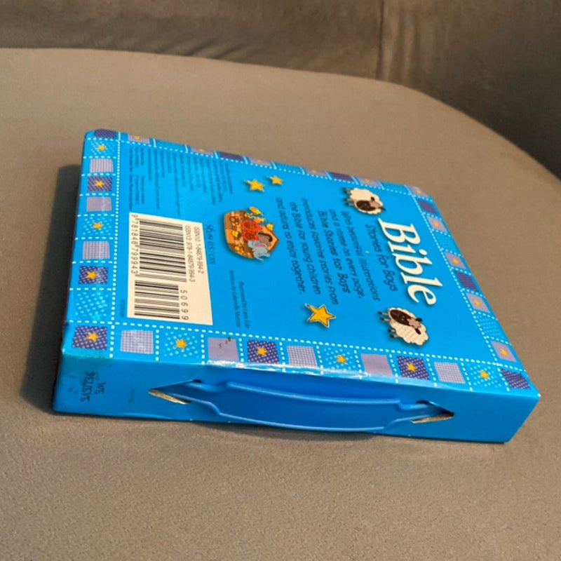 Bible Stories for Boys