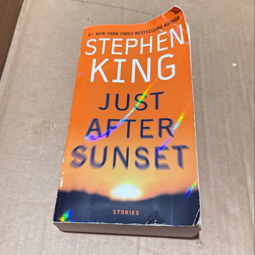 Just after Sunset   53