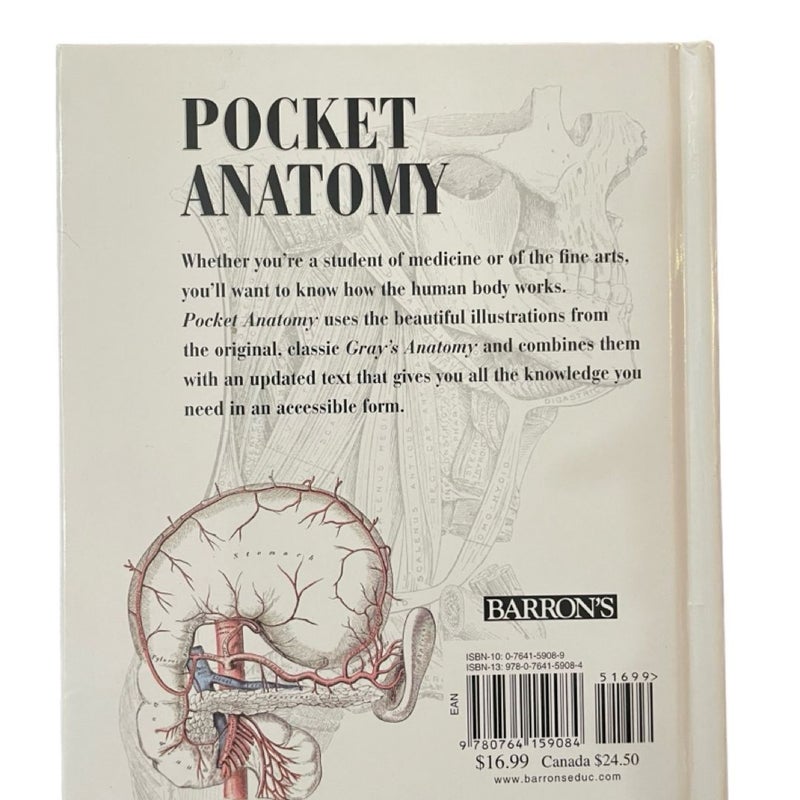 Pocket Anatomy