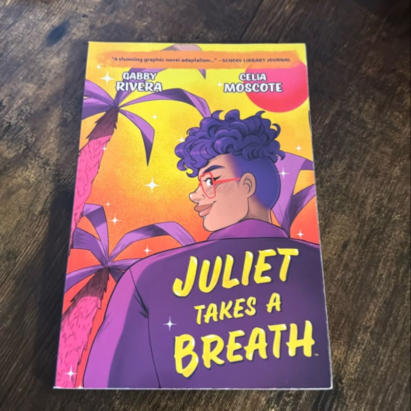 Juliet Takes a Breath: the Graphic Novel