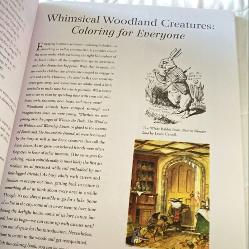 Whimsical Woodland Creatures: Coloring for Everyone