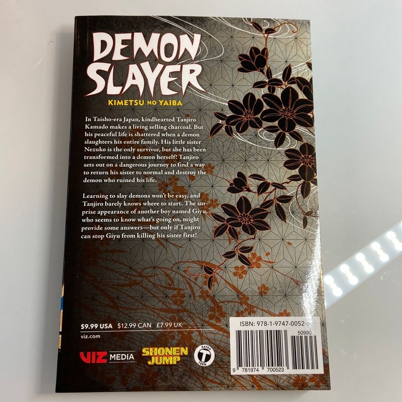 Demon Slayer: Kimetsu No Yaiba 1