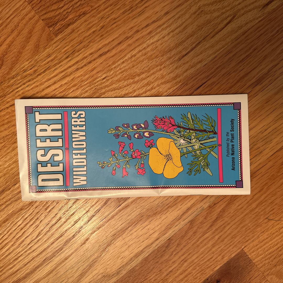 Arizona Traveler - Arizona Wildflowers