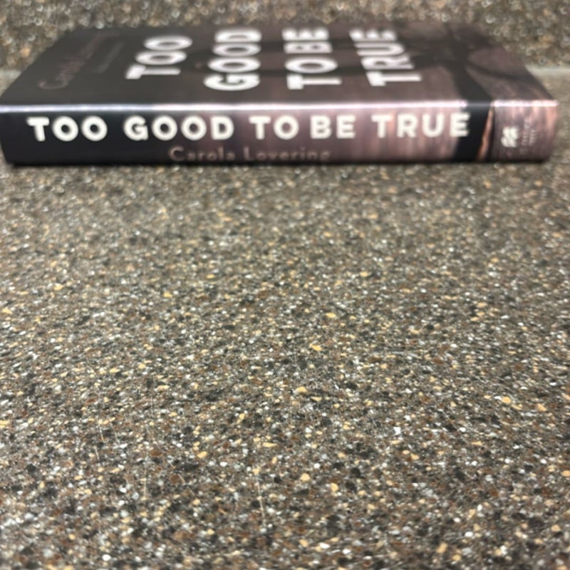 Too Good to Be True