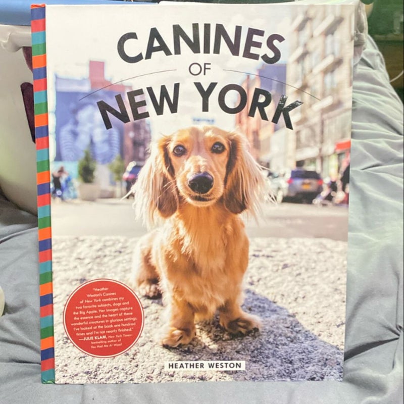 Canines of New York