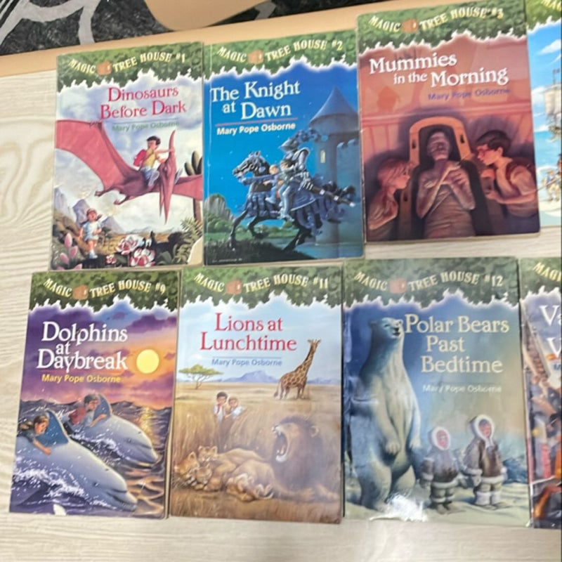 Magic Tree House Series 1-16 (missing #10)