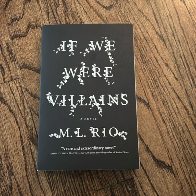 If We Were Villains