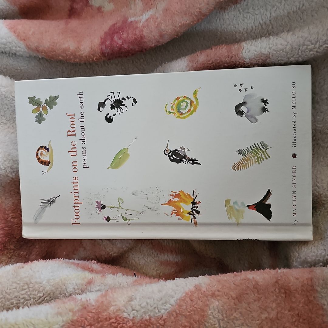 Footprints on the Roof