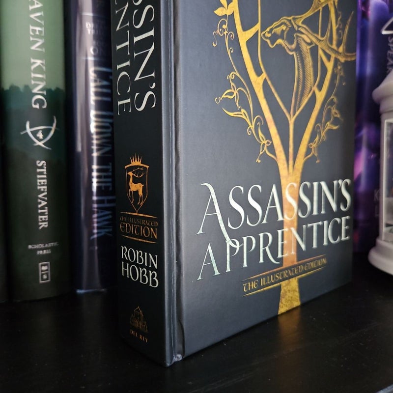 Assassin's Apprentice (the Illustrated Edition)