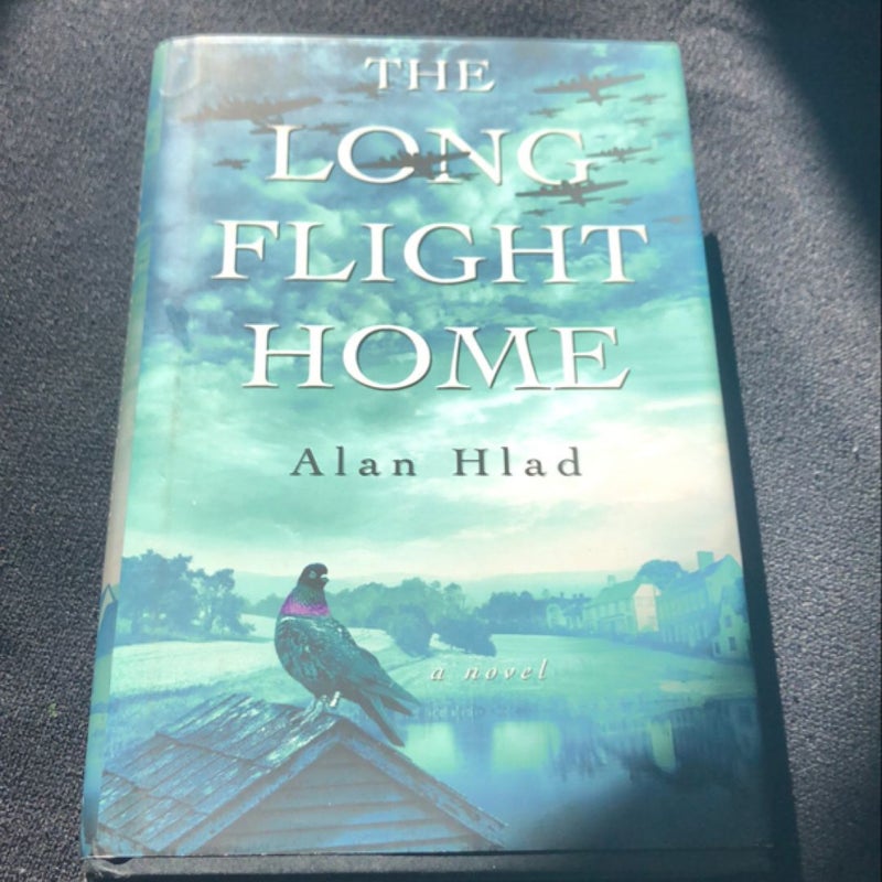 The Long Flight Home