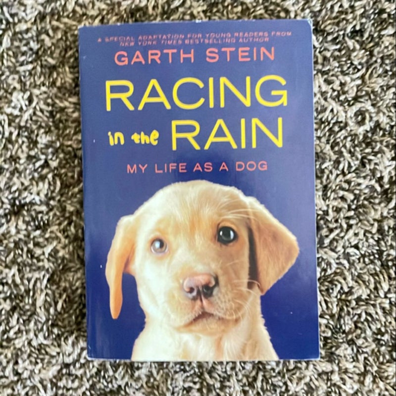 Racing in the Rain