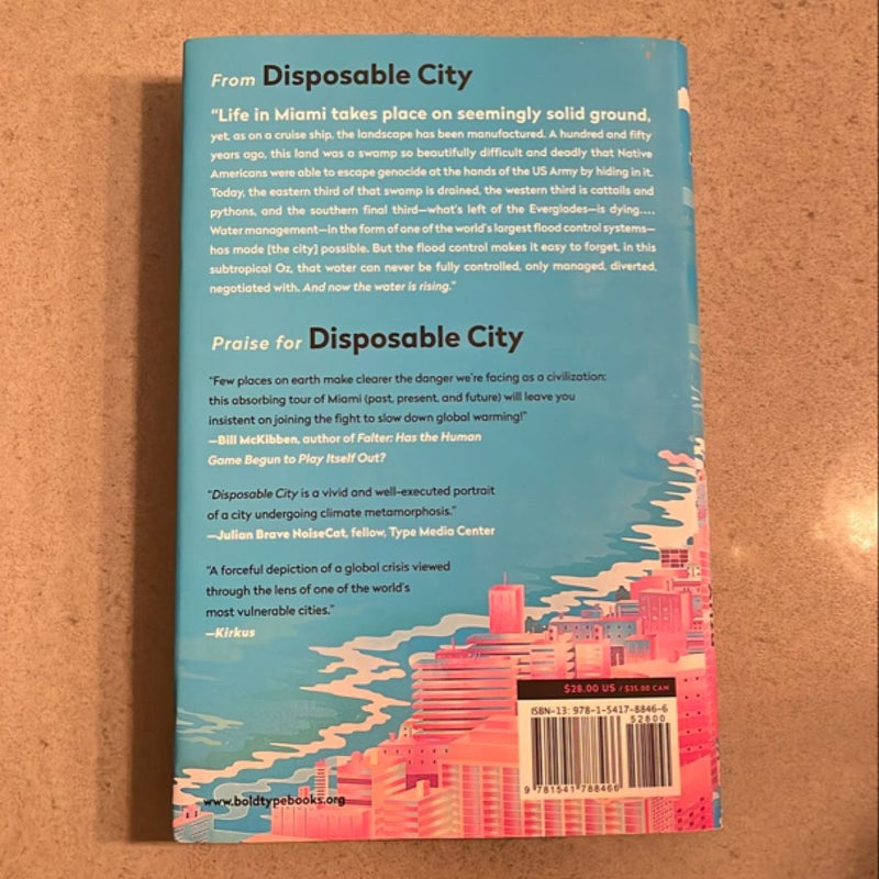 Disposable City