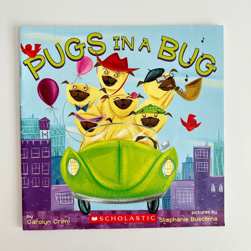 Pugs In a Bug