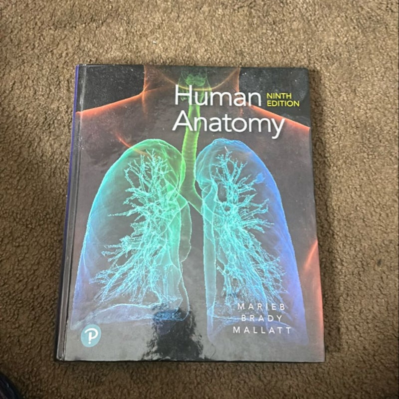 Human Anatomy