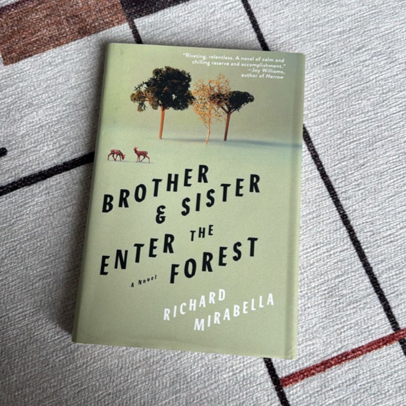 Brother and Sister Enter the Forest