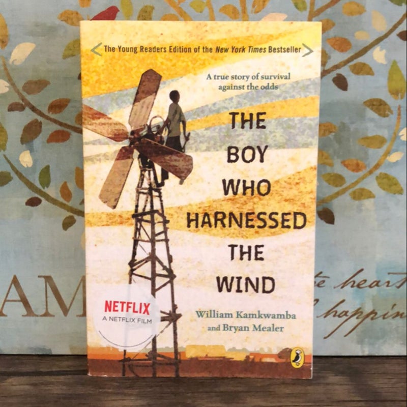 The Boy Who Harnessed the Wind