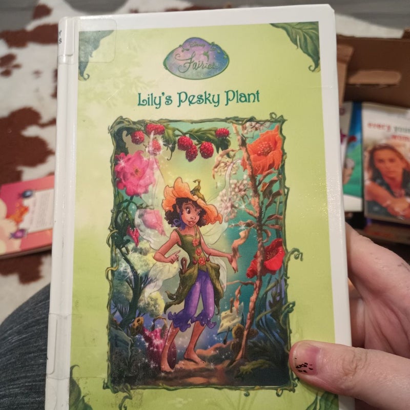 Lily's Pesky Plant
