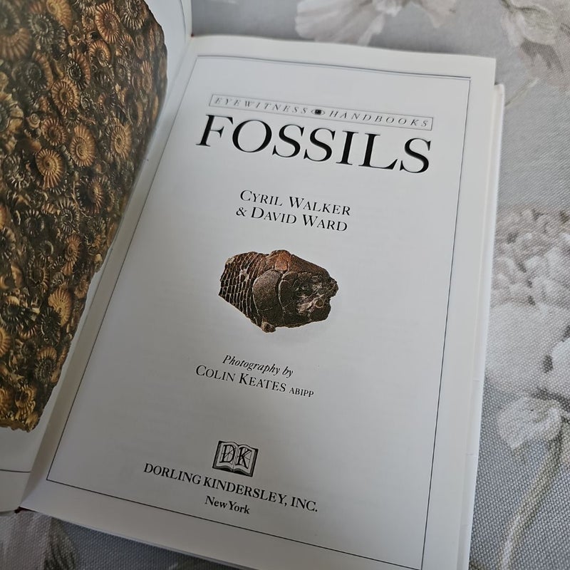 Fossils