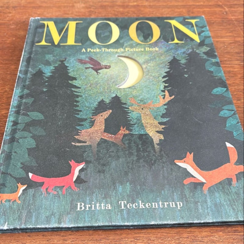 Moon: a Peek-Through Picture Book