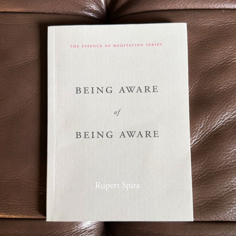 Being Aware of Being Aware