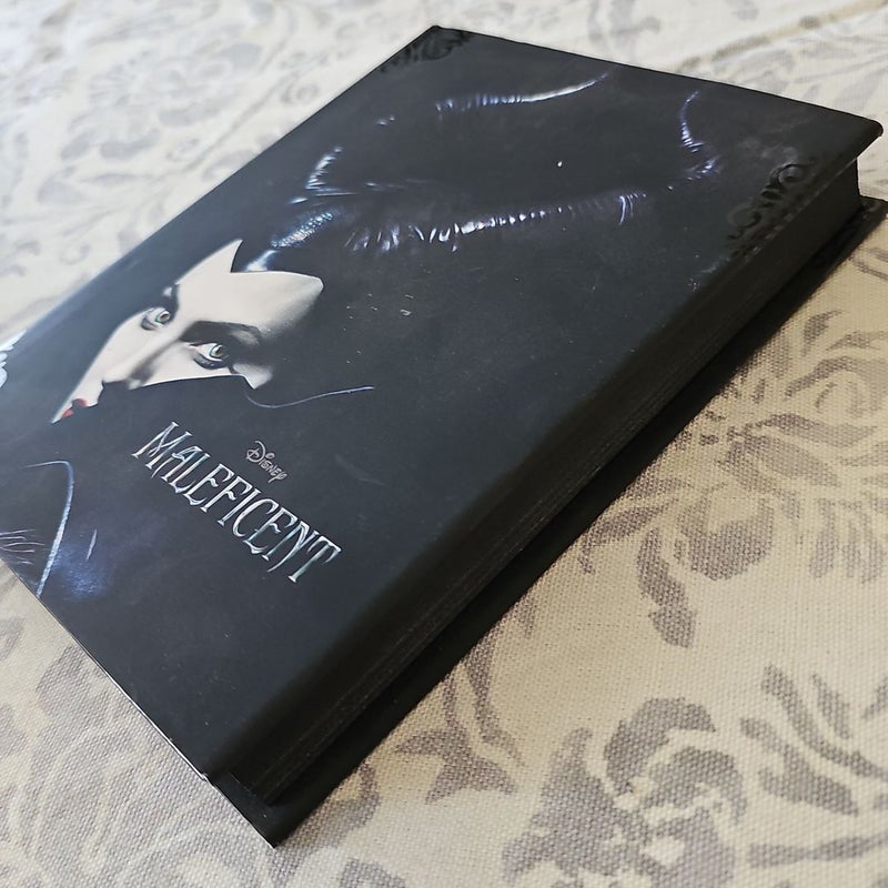 Maleficent by Elizabeth Rudnick, Hardcover