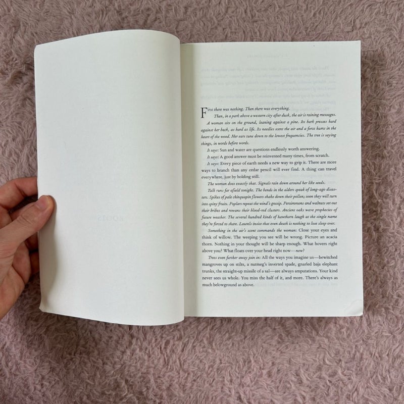 The Overstory