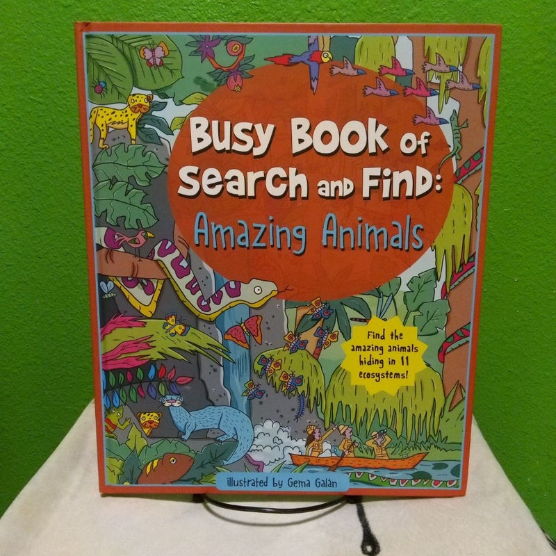 Busy Book of Search and Find