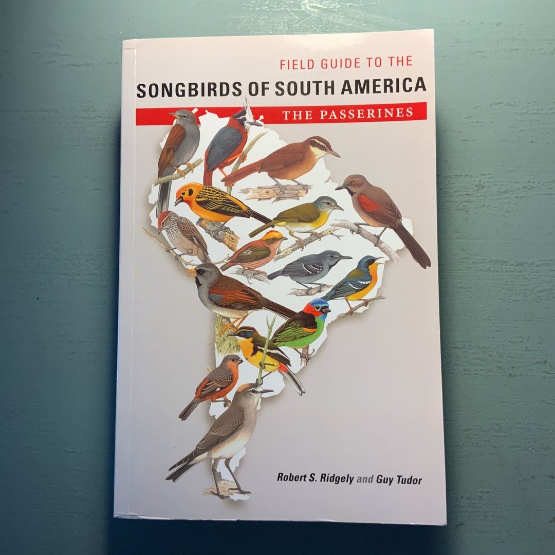 Field Guide to the Songbirds of South America by Robert S. Ridgely, Guy  Tudor, image size:1080x1080