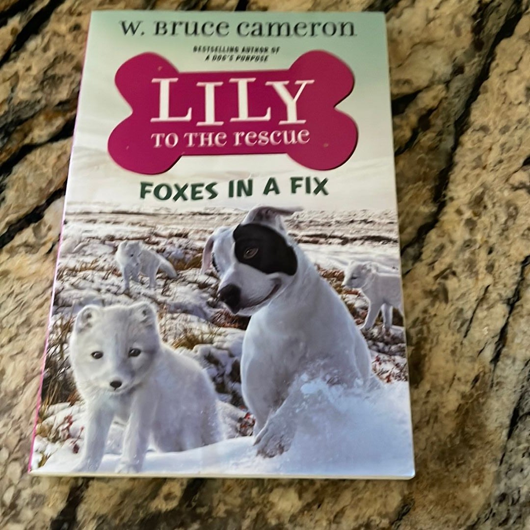 Lily to the Rescue: Foxes in a Fix