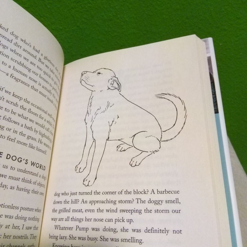 Inside of a Dog -- Young Readers Edition