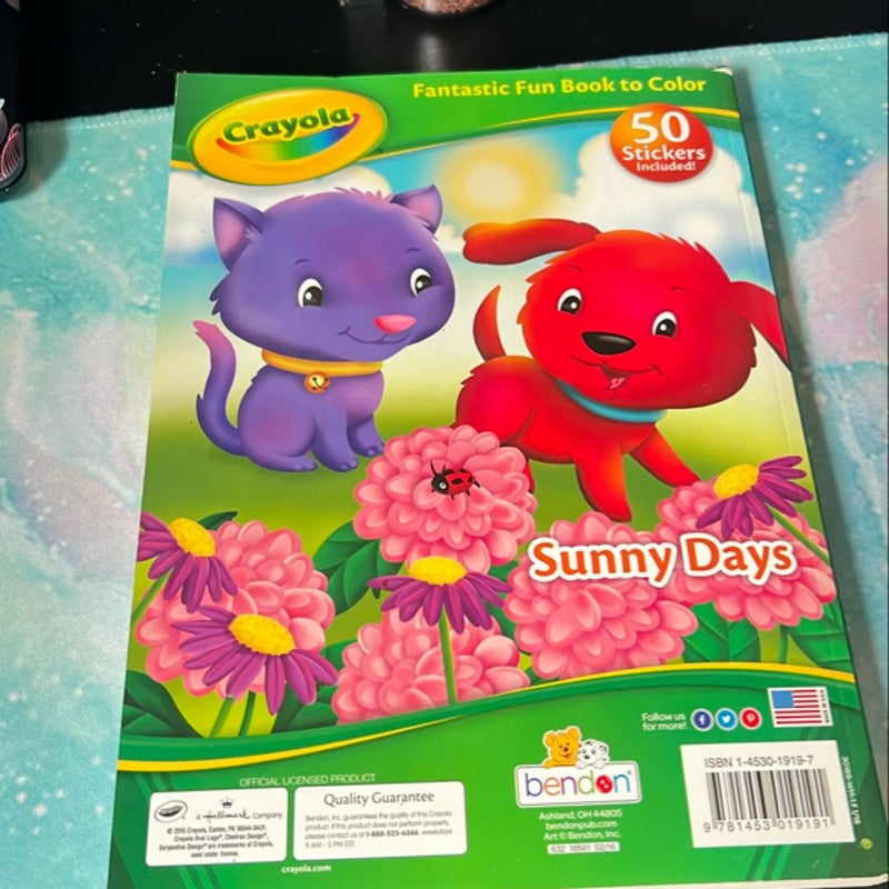 Sunny Days Coloring Book