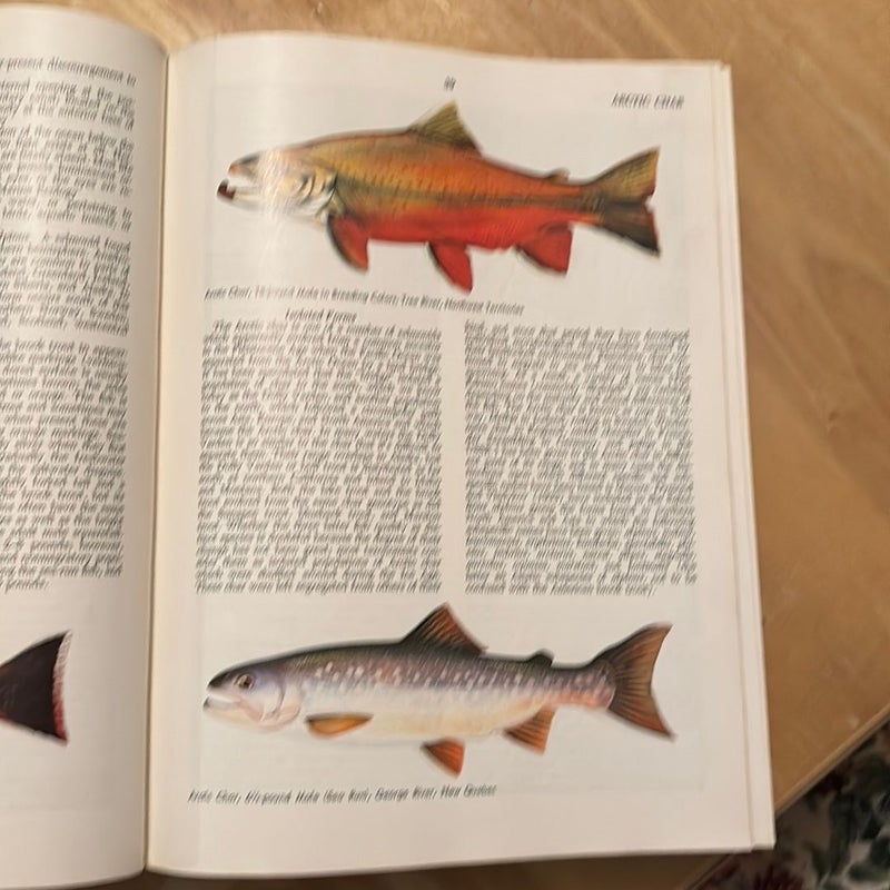 McClane’s Standard Fishing Encyclopedia and International Angling Guide 