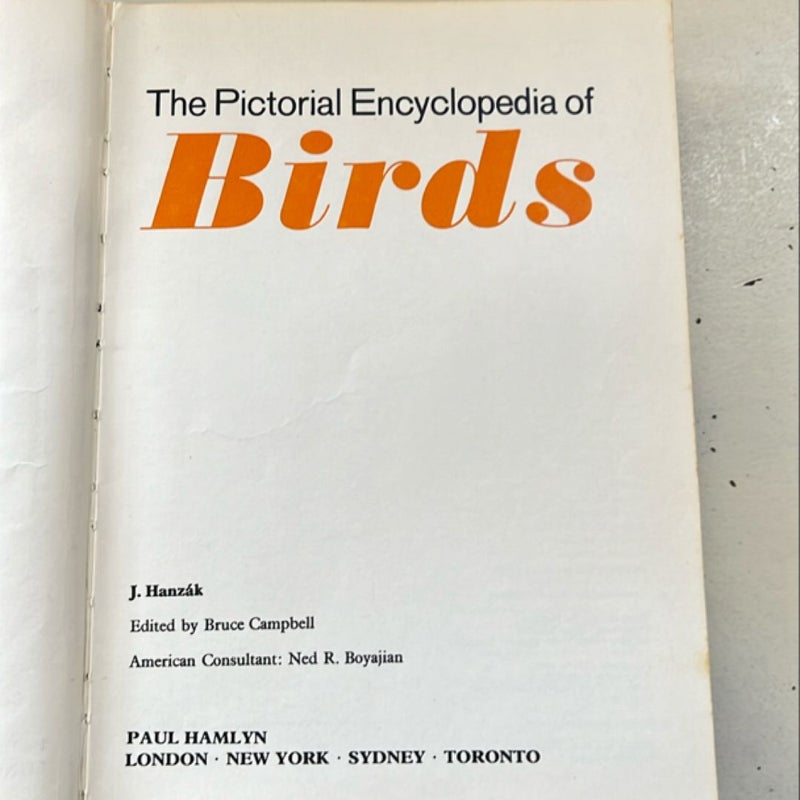 The Pictorial Encyclopedia Of Birds