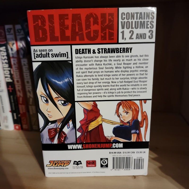 Bleach (3-In-1 Edition), Vol. 1