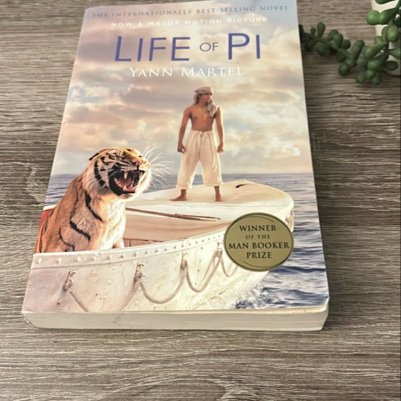 Life of Pi