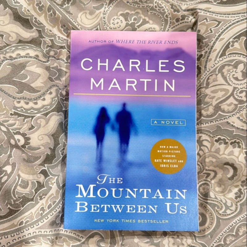 The Mountain Between Us