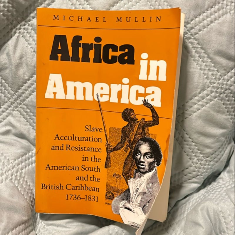 Africa in America