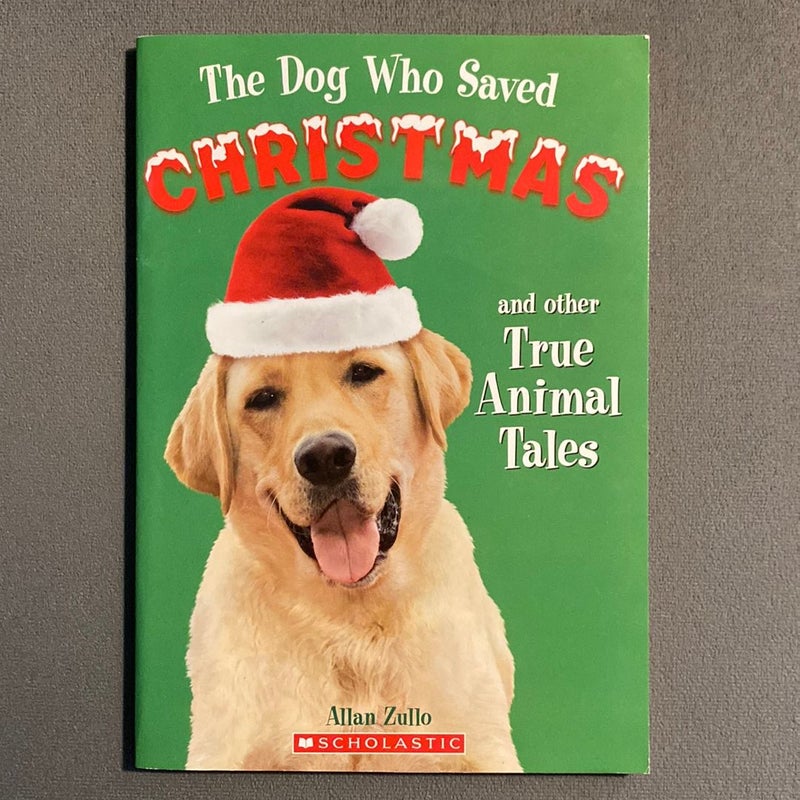 A Dog Who Saved Christmas 