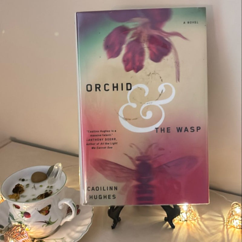 Orchid and the Wasp