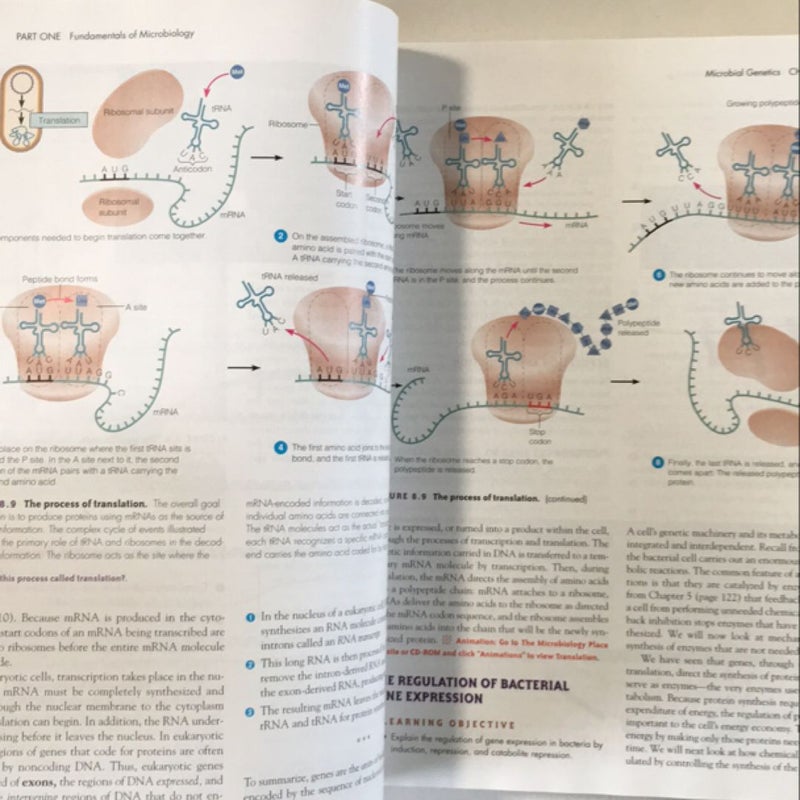 Microbiology