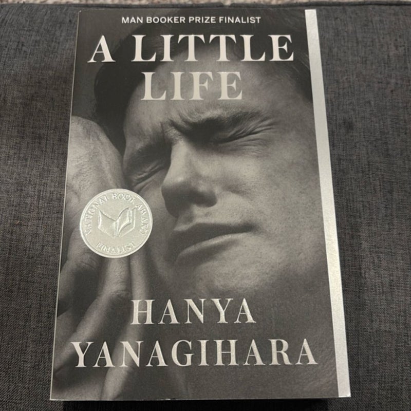 A Little Life