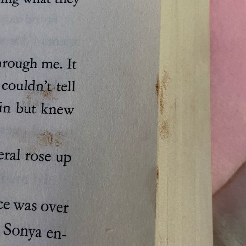 Beach Read