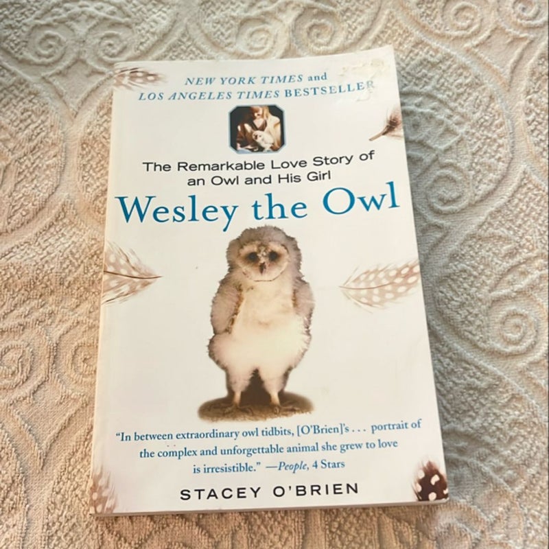 Wesley the Owl