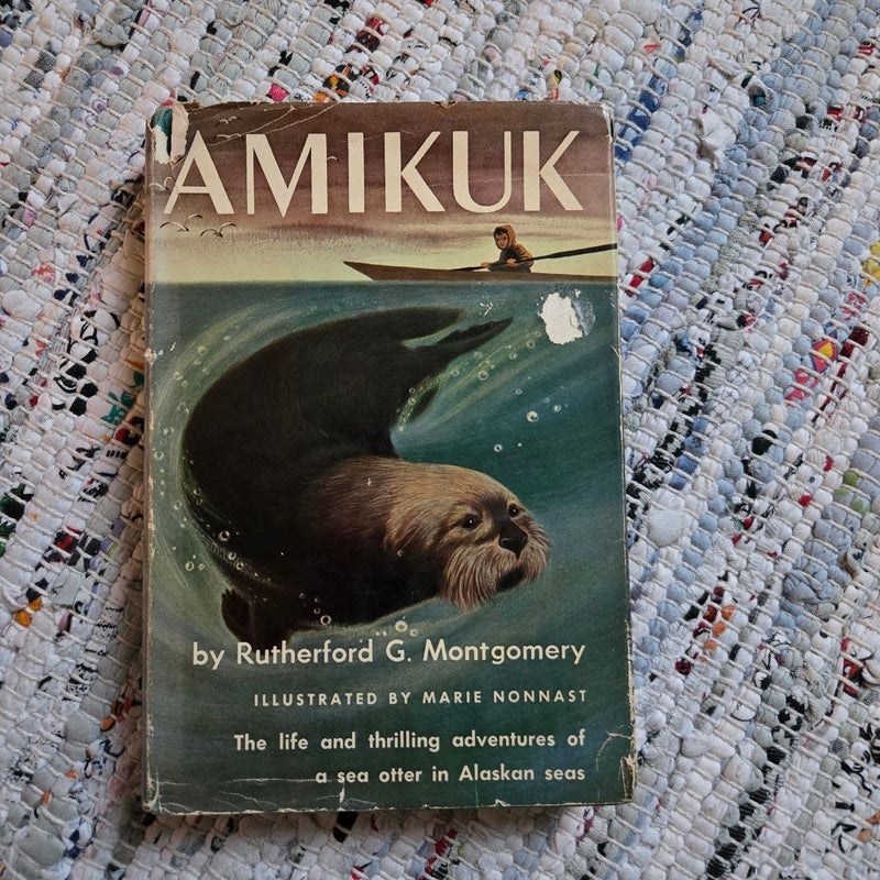 Amikuk